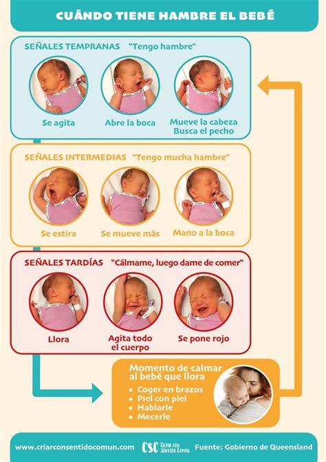 Infografía: señales tempranas de hambre del bebé