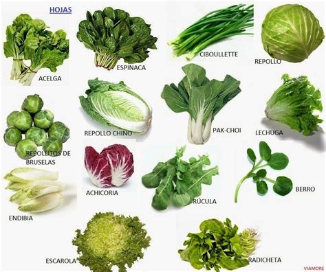Imagen de diferentes tipos de verduras de hoja verde (espinacas, kale, acelgas) frescas y listas para ser usadas en la receta.