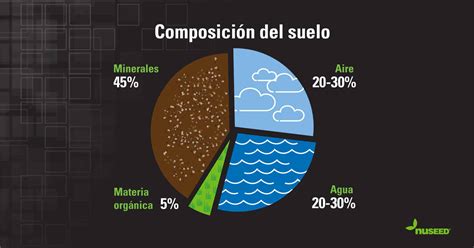 Esquema de la composición de un helado, mostrando las proporciones de agua, grasa, azúcar y aire.