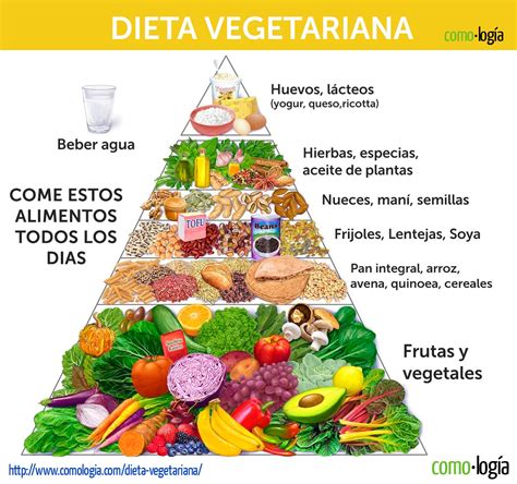 Esquema de los grupos de alimentos que componen una dieta vegetariana equilibrada y sus aportes nutricionales clave