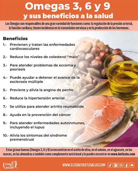 Infografía sobre los beneficios del Omega-3 en perros (piel, pelo, articulaciones, salud cardíaca)