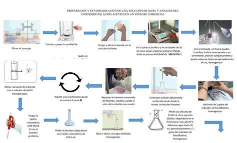 Esquema visual comparando los pasos de preparación de una infusión y una decocción