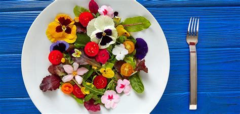Collage de imágenes mostrando diversos platos decorados con flores comestibles: ensaladas, postres, bebidas.