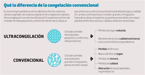 Esquema del proceso de ultracongelación en un barco factoría