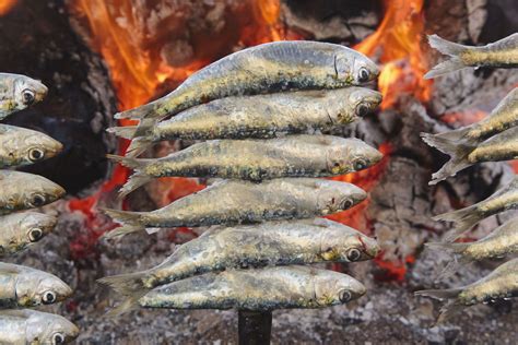 Esquema de un pescado al palo, estilo espeto o cancato, sobre brasas