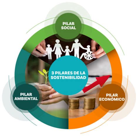 infografía sobre los pilares de la nutrición vegetariana: salud, ética y sostenibilidad ambiental