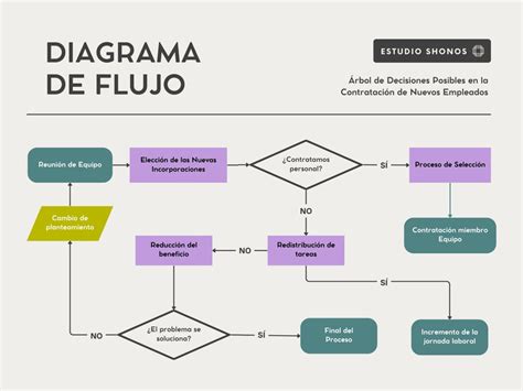 Infografía comparativa: flujo de decisión entre vegetales para cocinar, ensaladas listas y entradas preparadas