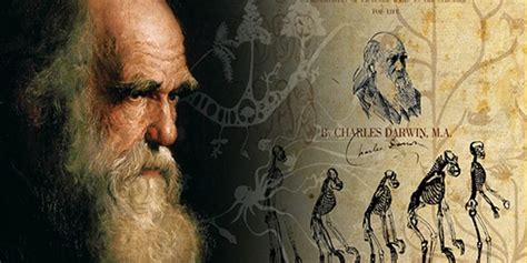 Retrato de Charles Darwin, padre de la teoría de la evolución