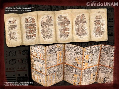 Ilustración de antiguos códices mayas que muestran el uso del cacao.