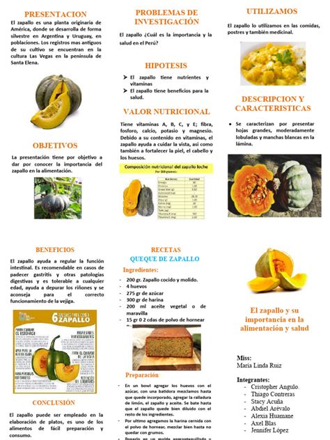 Esquema visual que muestra el proceso de ahuecar el zapallo y rellenarlo con la mezcla de carne preparada