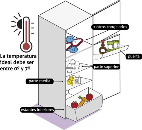Esquema de las zonas de temperatura en un refrigerador doméstico para el almacenamiento de alimentos