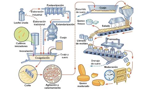 Esquema del proceso de elaboración de la ricotta, mostrando la utilización del suero de leche
