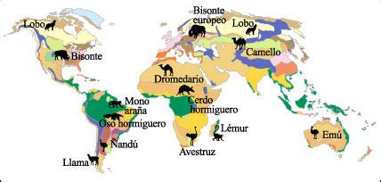 Mapa de distribución geográfica de las especies de merluza