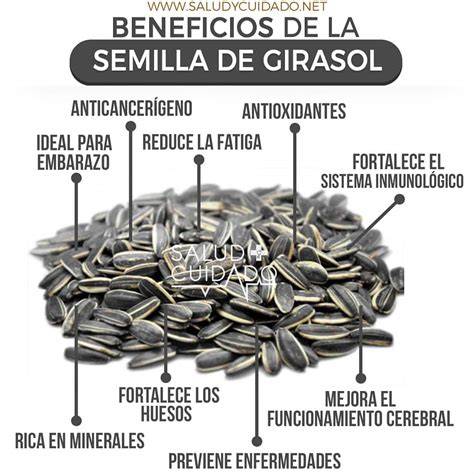 Infografía nutricional de las semillas de girasol por cada 100 gramos