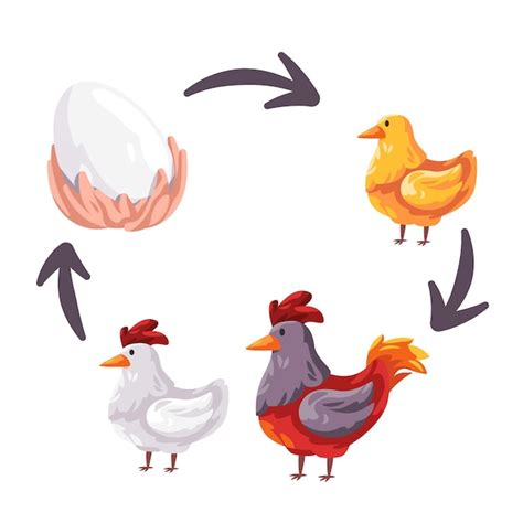 Ilustración de las distintas etapas del rebozado del pollo