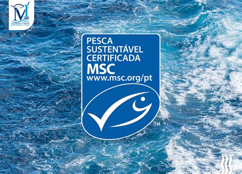 Etiqueta del sello azul de MSC en productos del mar
