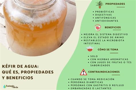 Infografía sobre los beneficios del kéfir de agua para la salud intestinal
