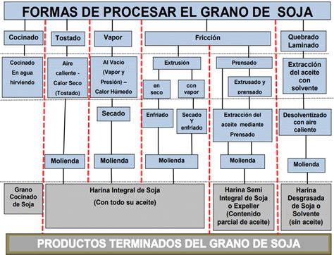 Esquema del proceso de transformación del grano de soja en harina fina rica en proteínas