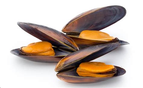 Infografía sobre los beneficios nutricionales de los mejillones y su aporte a la dieta
