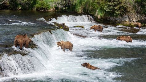 Mapa de Alaska destacando el Parque Nacional Katmai y Brooks Falls