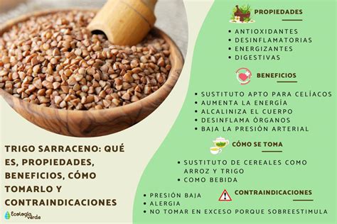 Esquema sobre el trigo sarraceno y sus usos en la cocina sin gluten