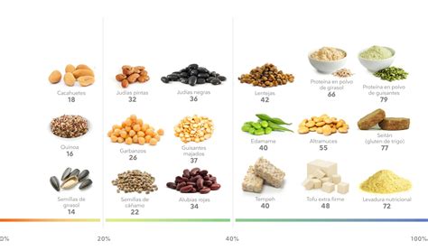 Infografía nutricional que muestra grupos de alimentos veganos: carbohidratos, proteínas vegetales, grasas saludables y vitaminas.