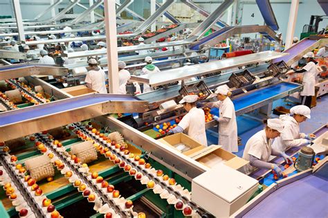 Vista de una línea de producción automatizada de envasado de mermeladas, mostrando varias máquinas trabajando en conjunto