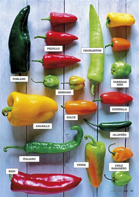 Variedad de pimientos secos y picantes