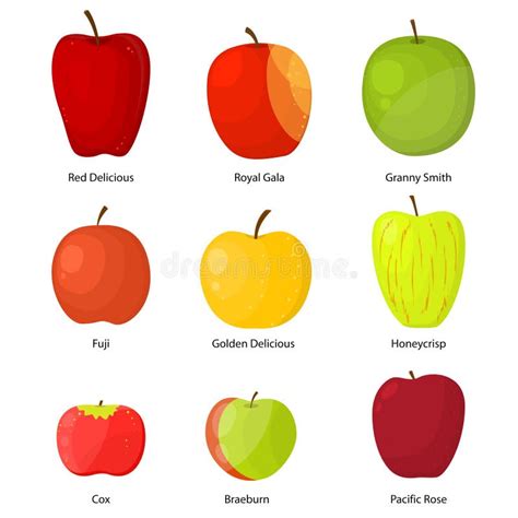 Ilustración de diversas variedades de manzanas frescas y apetitosas