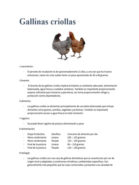 ilustración de los alimentos que consumen las gallinas criollas (granos, insectos, vegetales)