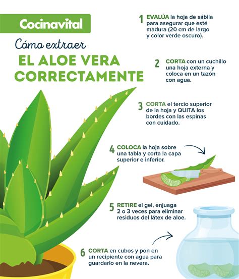 ilustraciones de cómo aplicar cebolla, vaselina y aloe vera en las cejas