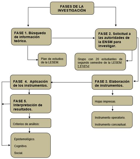 Esquema de las fases de un estudio descriptivo sobre administración de fármacos en neonatología