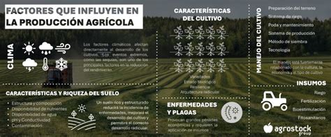 Infografía: Factores clave que influyen en la calidad del esperma.