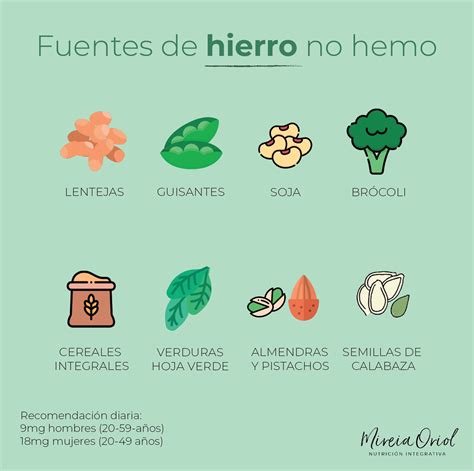 infografía sobre hierro hemo y no hemo, sus fuentes y tasas de absorción