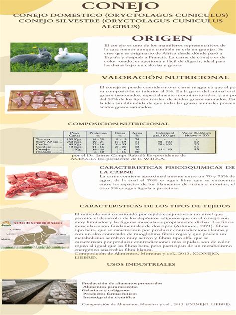 Infografía: Razones del declive del consumo de carne de conejo