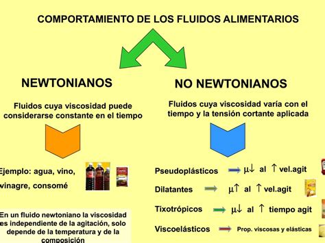 Infografía comparativa de fluidos newtonianos y no newtonianos con ejemplos