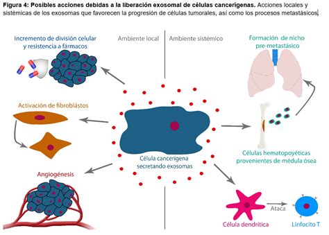 Esquema de las sustancias cancerígenas que se forman en una parrilla sucia