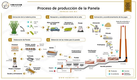 Esquema del proceso de producción de la panela: desde la molienda de la caña de azúcar, pasando por la cocción en hornos, hasta el moldeo en bloques.