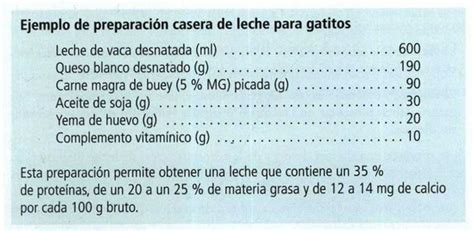 Infografía: Pasos para la preparación de leche para gatitos