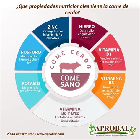 Infografía detallando el contenido nutricional de la carne de ternera: proteínas, hierro, zinc y vitaminas B