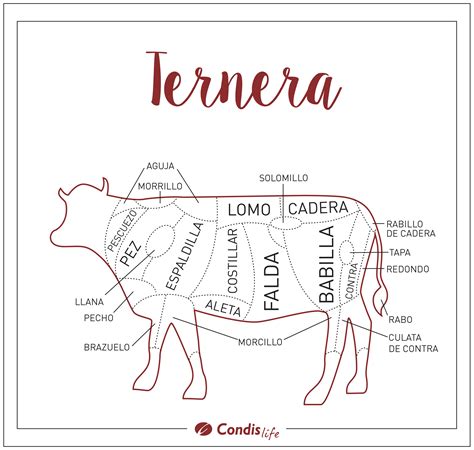 Diagrama de los cortes principales de la ternera con sus nombres