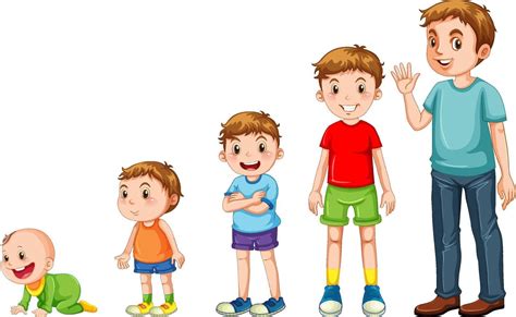 imagen de diversas hortalizas en diferentes etapas de crecimiento