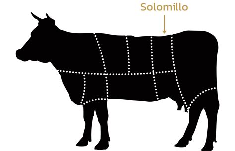 Esquema de corte de ternera mostrando la ubicación del solomillo y el filet mignon