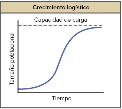 Esquema logístico del crecimiento de la cadena, mostrando los puntos de venta en Santiago y la proyección de expansión