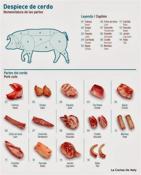Esquema de los cortes del cerdo mostrando la ubicación de la panceta y el tocino