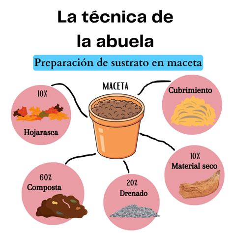 Esquema visual que muestra la disposición de las capas de sustrato en una maceta para el cultivo de espinacas