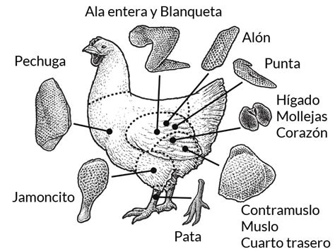 Esquema que muestra las partes del pollo ideales para freír (muslos, encuentros y alitas) con notas sobre su tiempo de cocción.