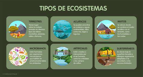 Esquema de las principales amenazas a los ecosistemas marinos por la pesca