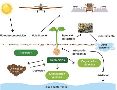 diagrama mostrando el proceso de incorporación de herbicidas pre-emergentes en el suelo