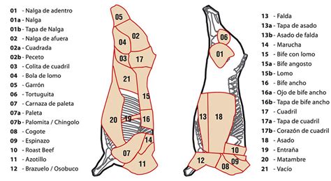 Esquema de corte de res mostrando la ubicación del skirt steak (entraña)